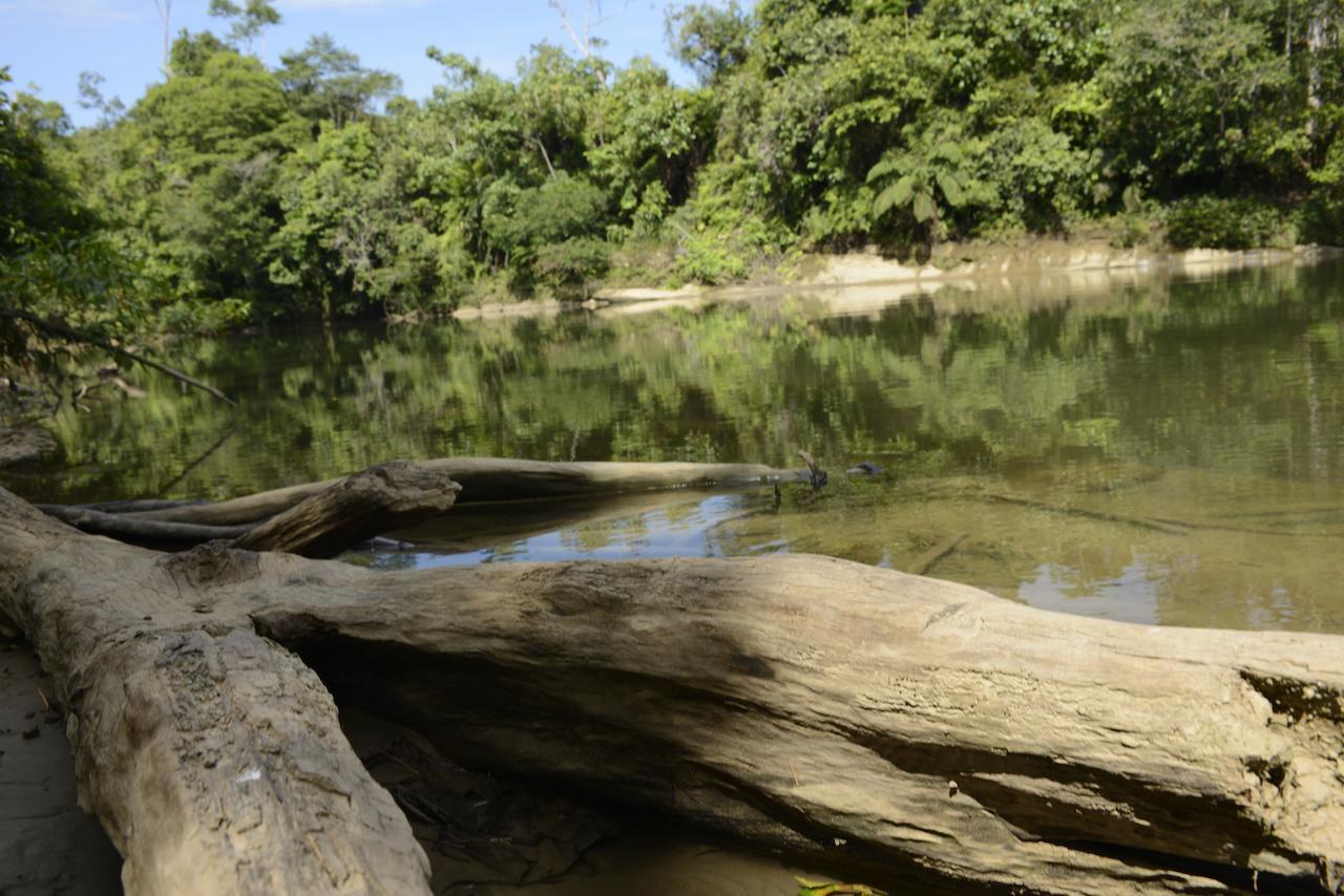 Itamandi Eco Lodge Río Arajuno Extérieur photo